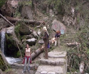 damage malana way